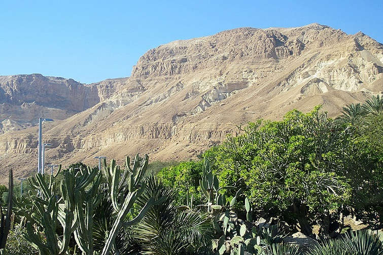 Ein_gedi_nature_reserve_israel_1 ein gedi nature reserve