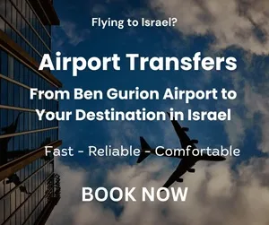 airport transfers