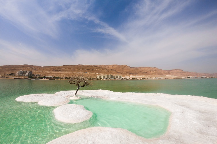 the_dead_sea the dead sea
