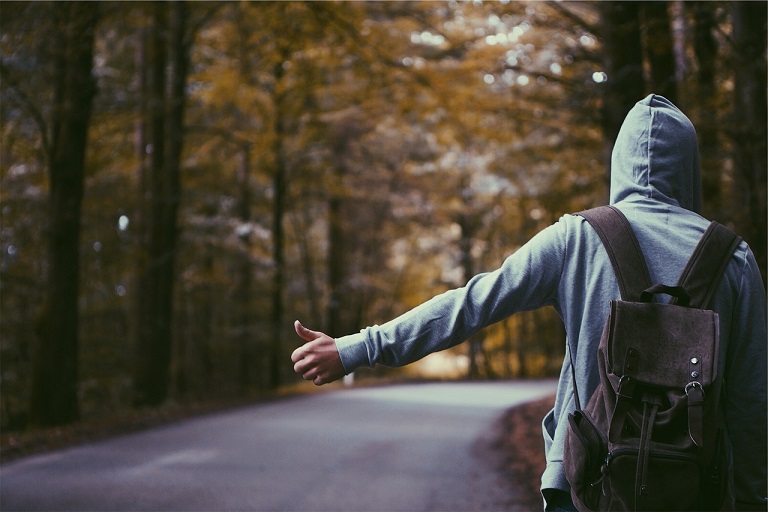 hitchhiker_in_forest_road hitchhiker in forest road