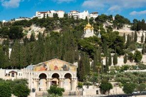 mount of olives in jerusalem