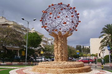 OLYMPUS DIGITAL CAMERA orange tree raanana israel